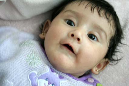 Lleg&oacute; la cig&uuml;e&ntilde;a